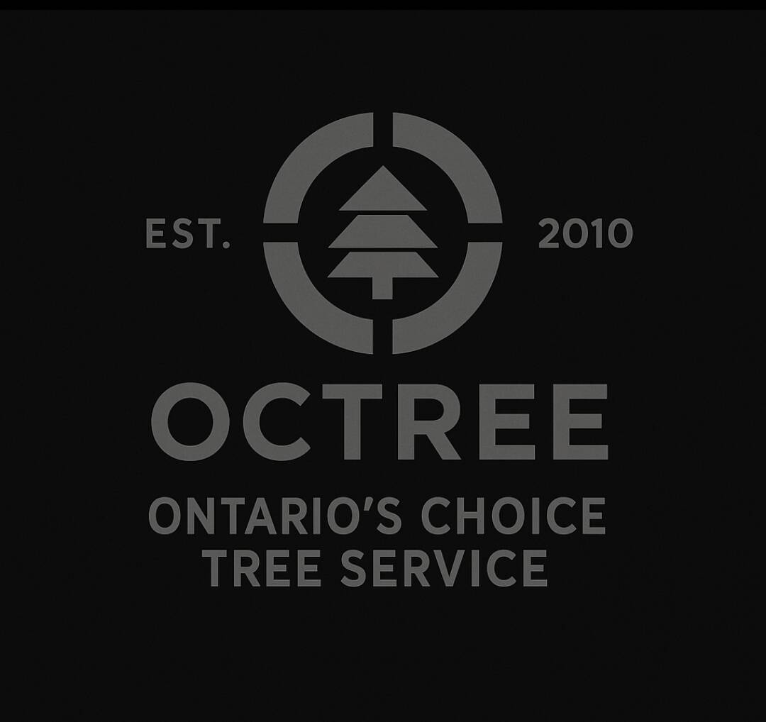 Octree